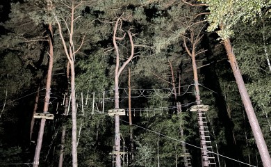 img-1